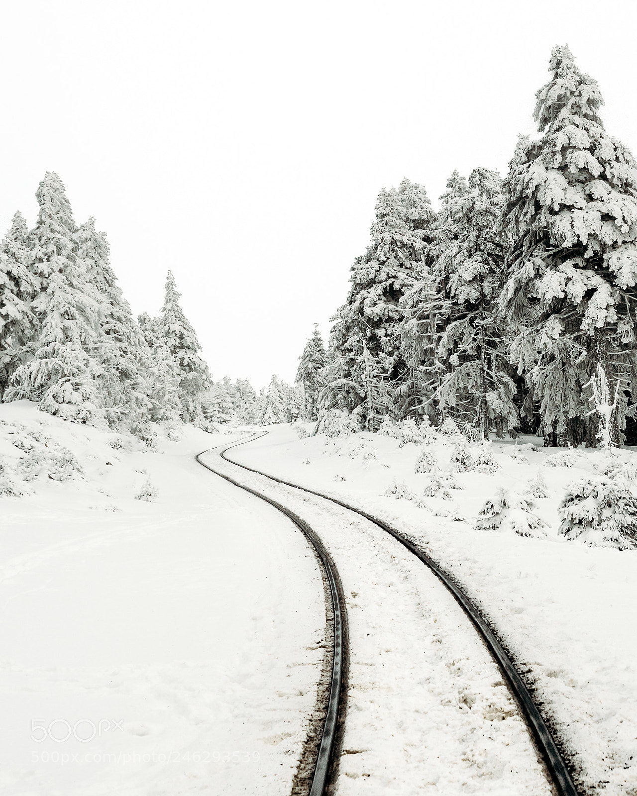 Panasonic Lumix DC-G9 sample photo. Snow train photography