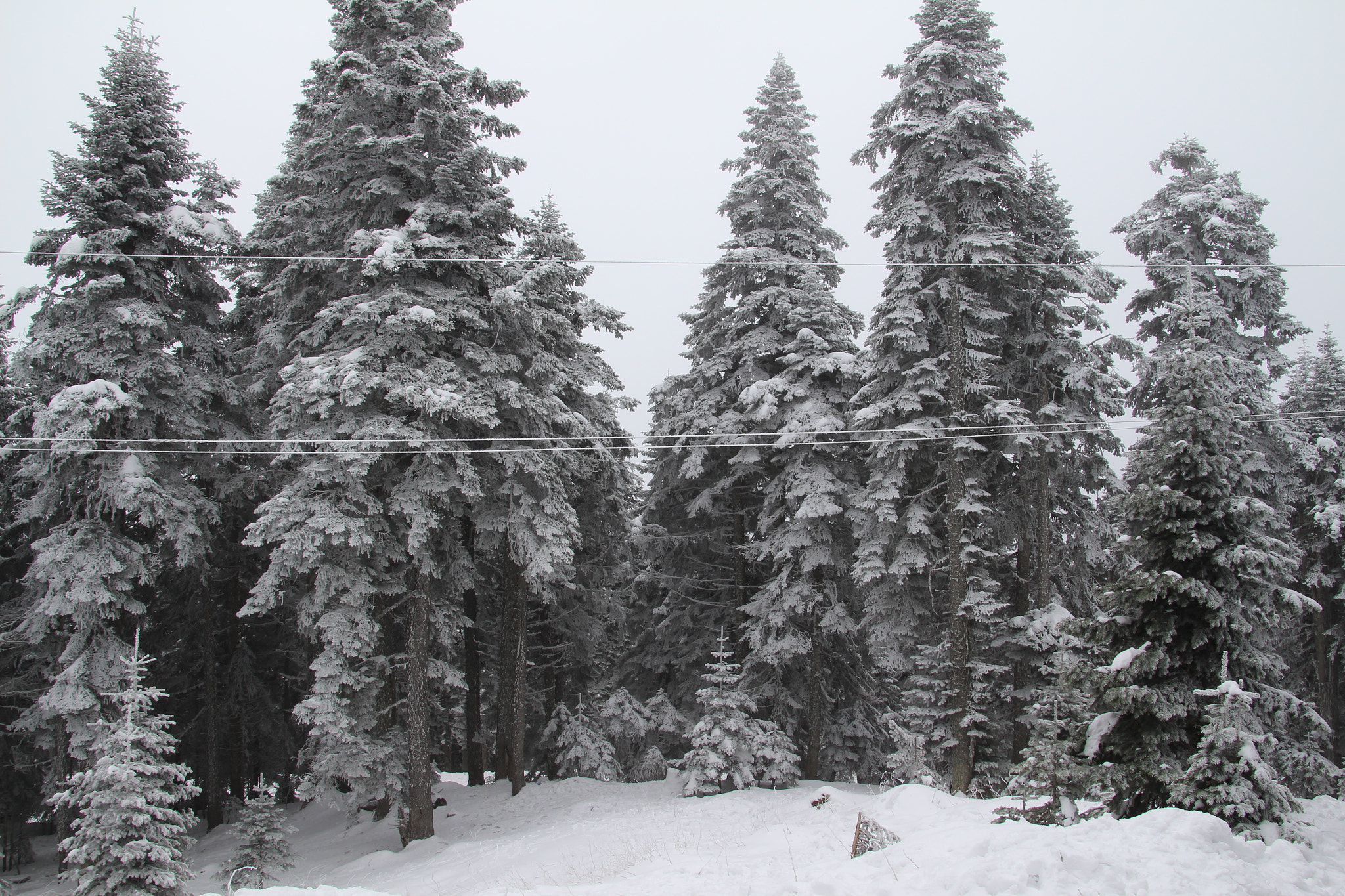 Canon EOS 700D (EOS Rebel T5i / EOS Kiss X7i) + Canon TS-E 90mm F2.8 Tilt-Shift sample photo. Winter is here photography