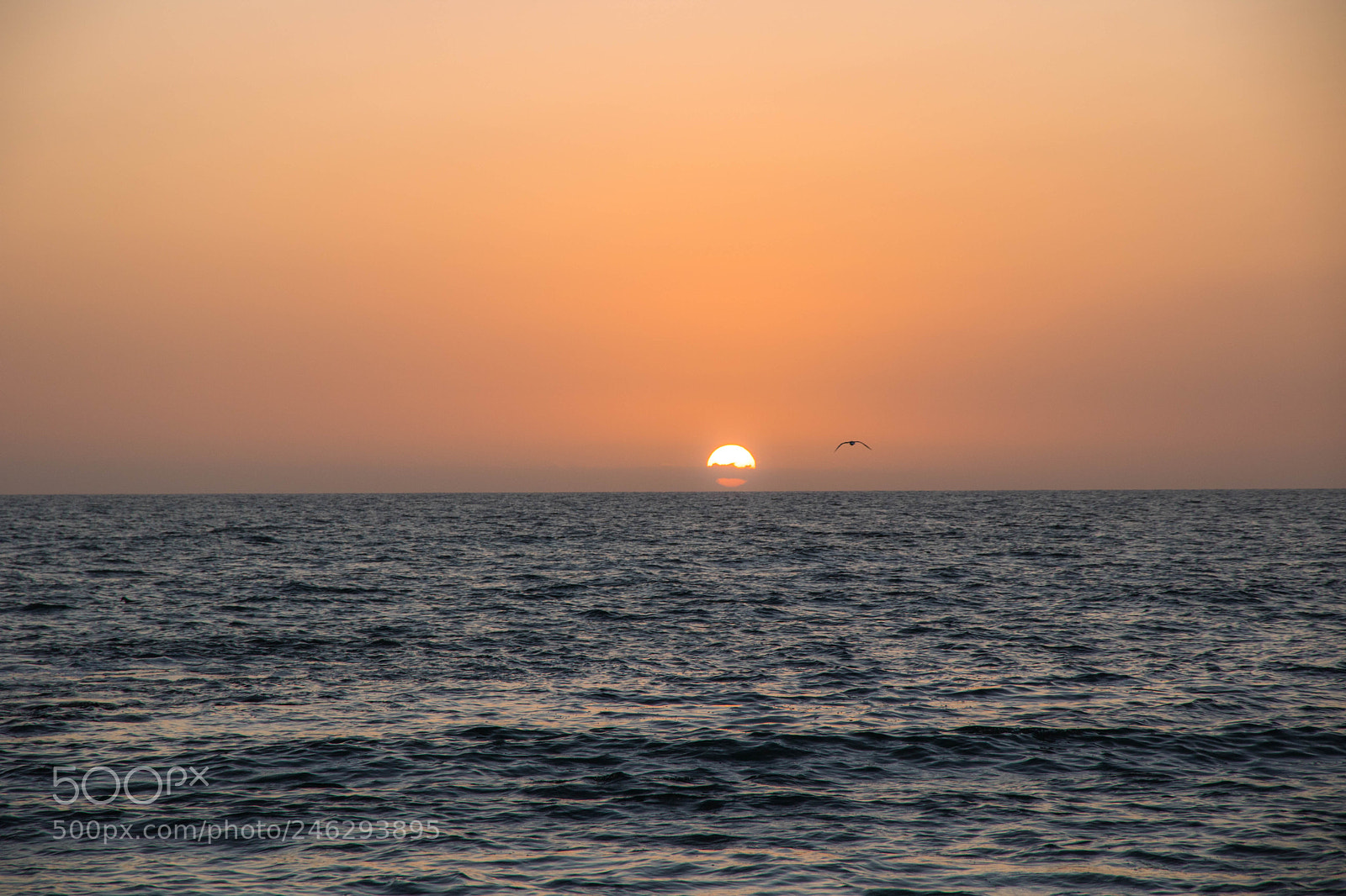 Canon EOS 750D (EOS Rebel T6i / EOS Kiss X8i) sample photo. Santa monica sunset photography