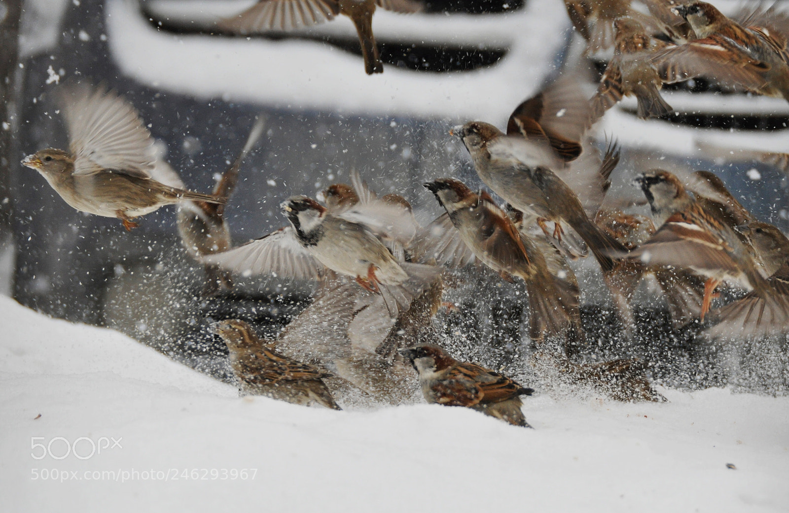 Nikon D90 sample photo. Chaos photography