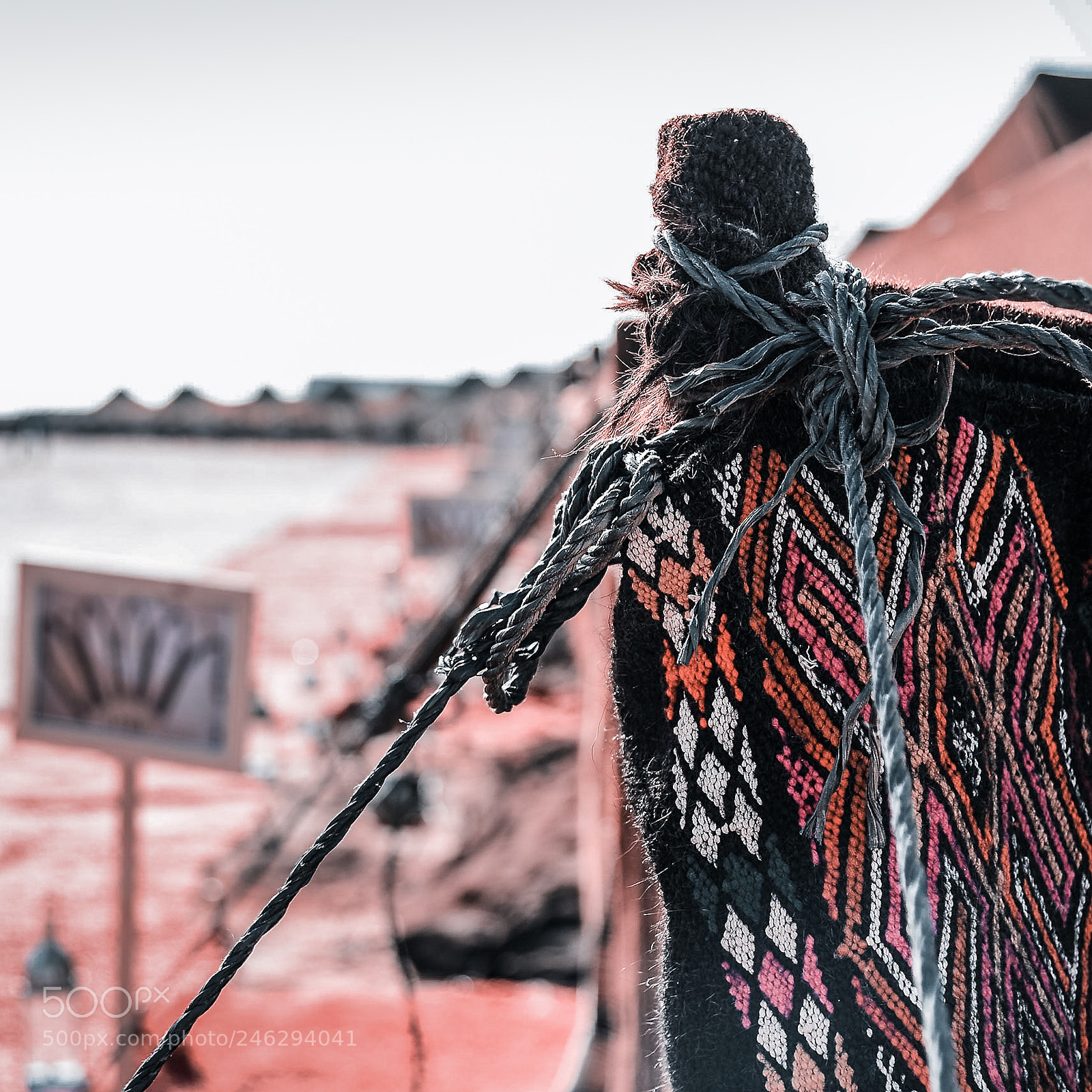 Nikon D4 sample photo. Morocco photography