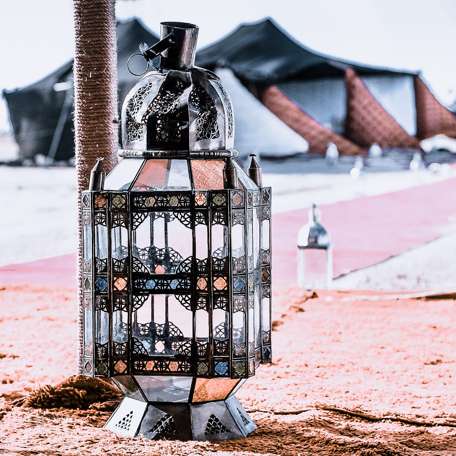 Nikon D4 sample photo. Morocco photography