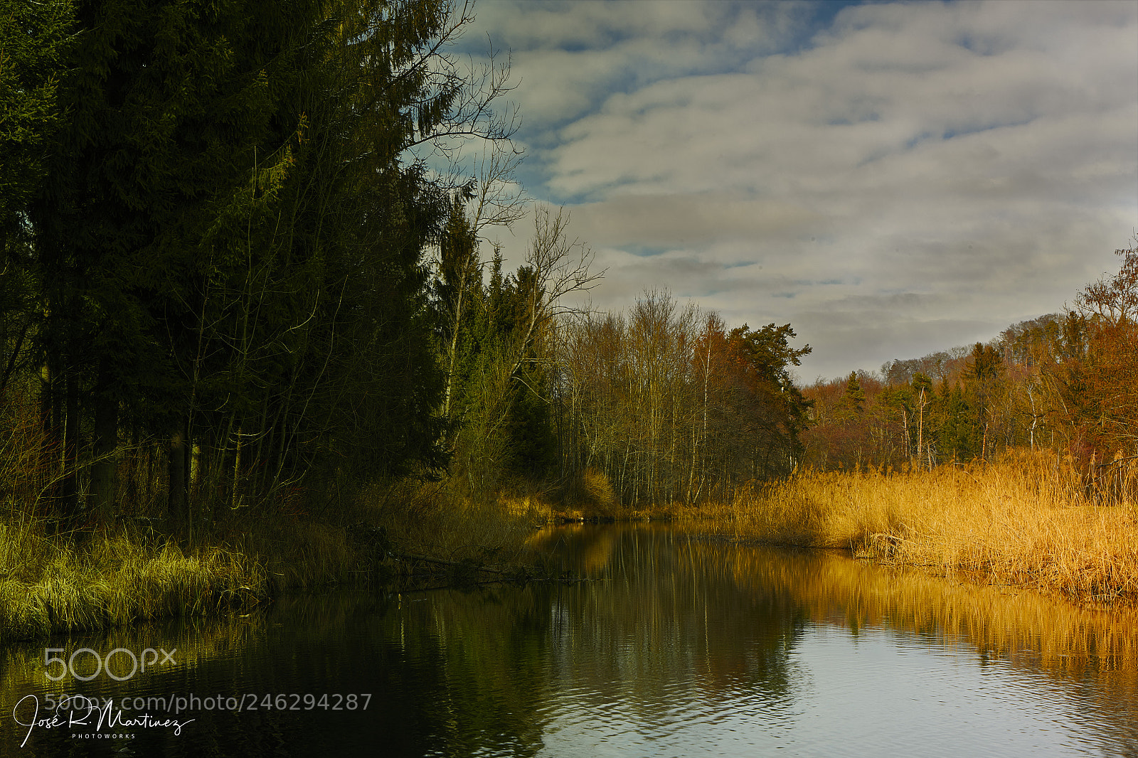 Nikon D850 sample photo. 20180214_0004.jpg photography