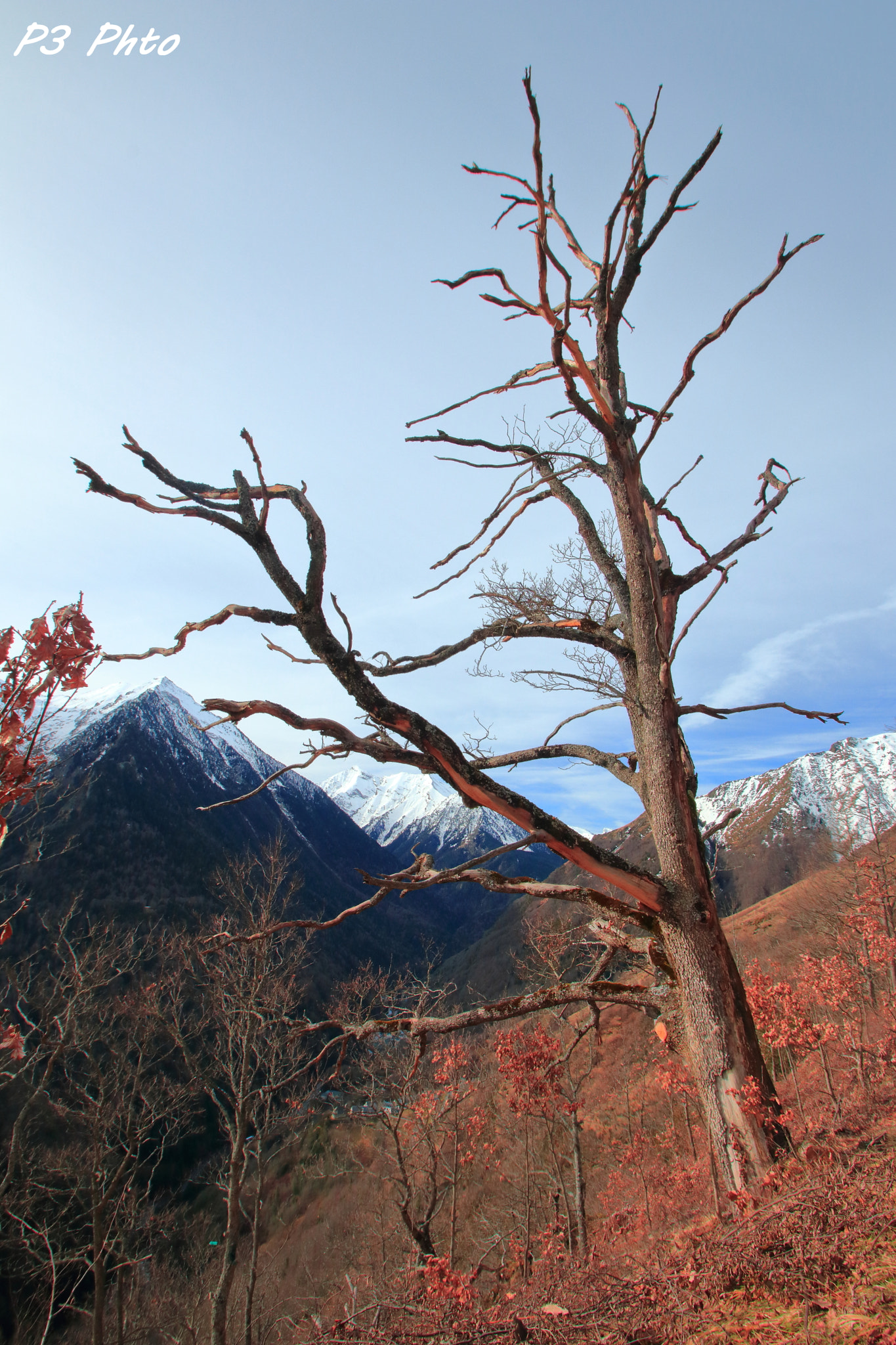 Sigma 10-20mm F3.5 EX DC HSM sample photo. Img photography