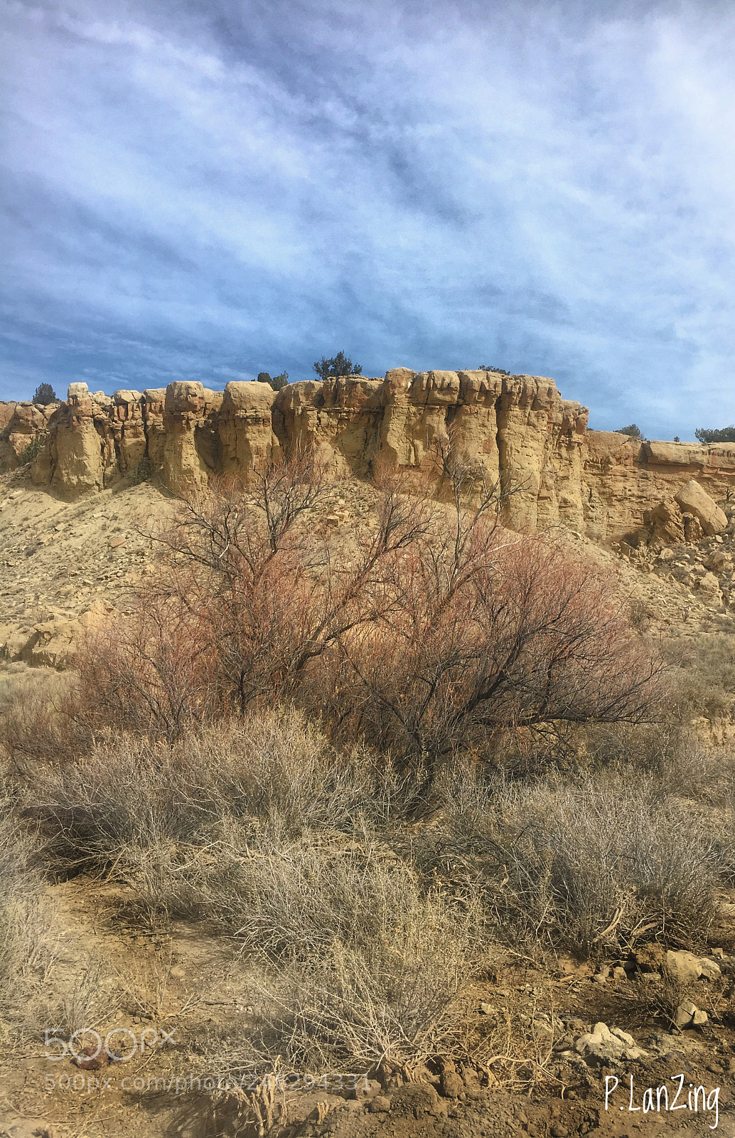 Apple iPhone 6s sample photo. Ojito wilderness, new mexico photography