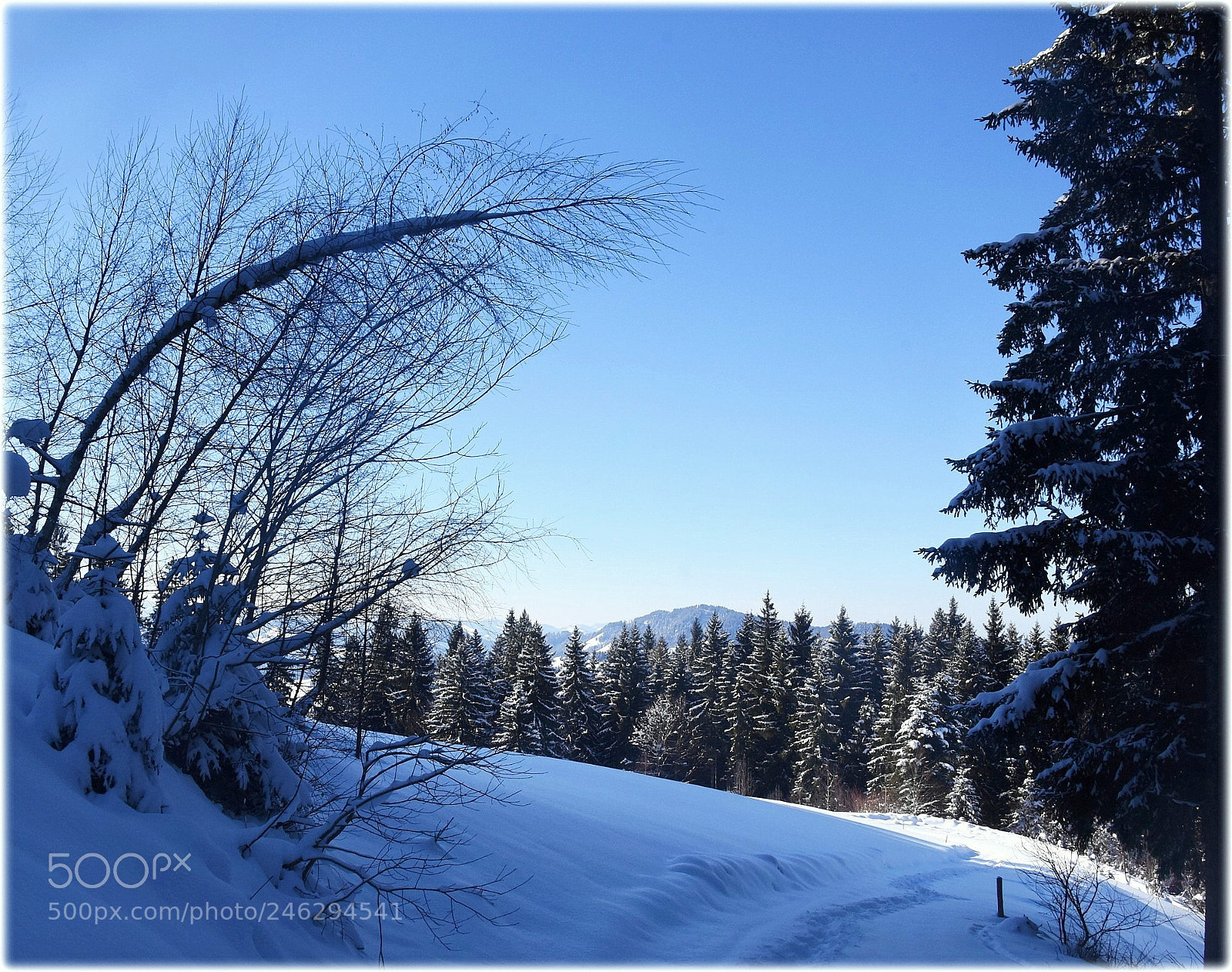 Nikon D810 sample photo. "view" photography