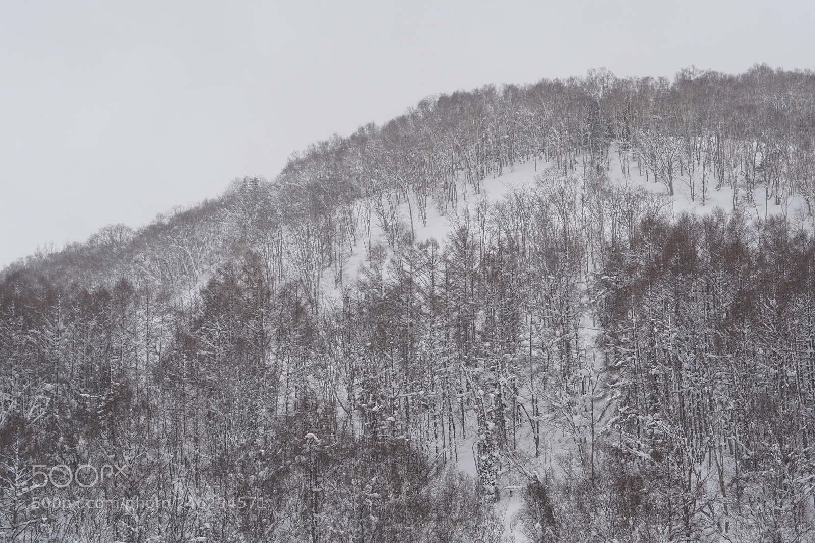 Sony a6300 sample photo. Beauty of snow mountain photography