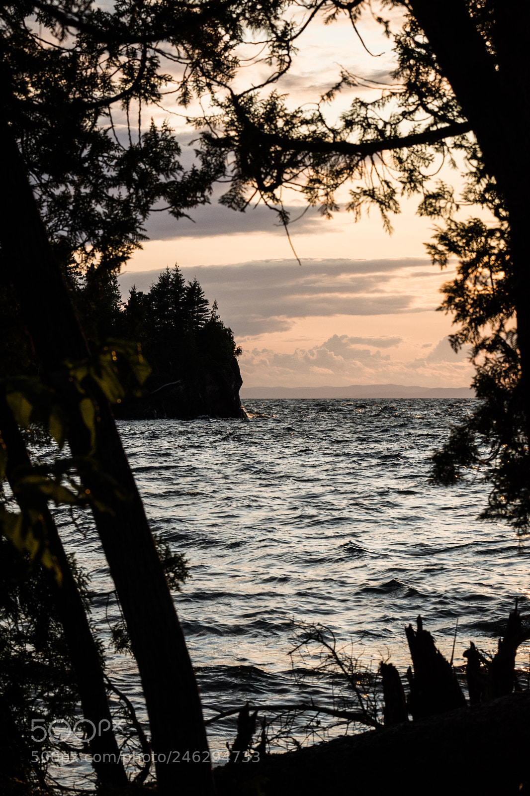 Nikon D7200 sample photo. Nature's window. photography