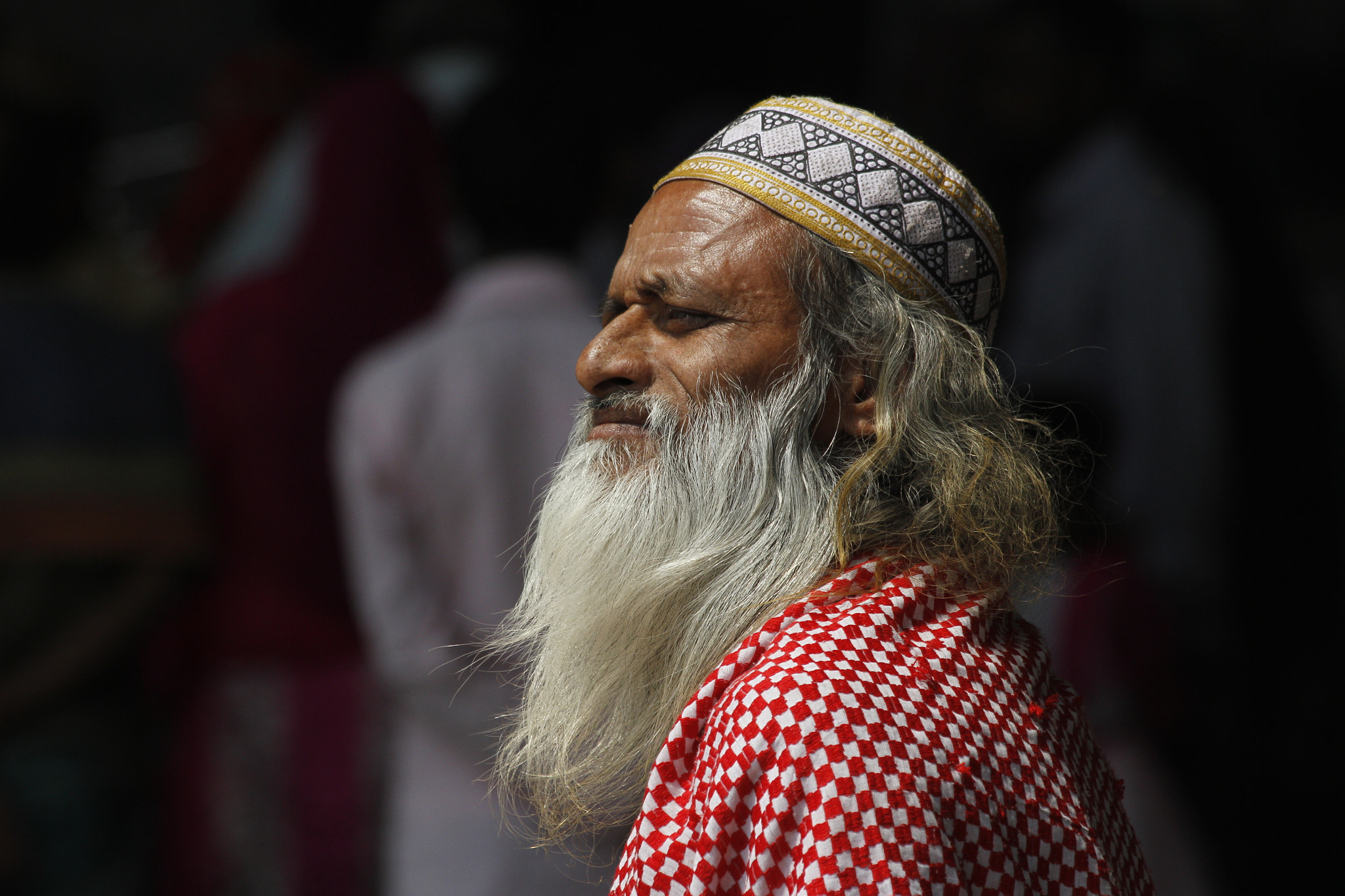Canon EF 70-300mm F4-5.6 IS USM sample photo. Devotee of shah ali baghdadi photography