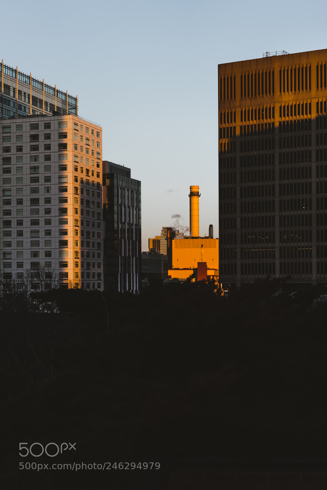 Sony a7R II sample photo. Highlights photography