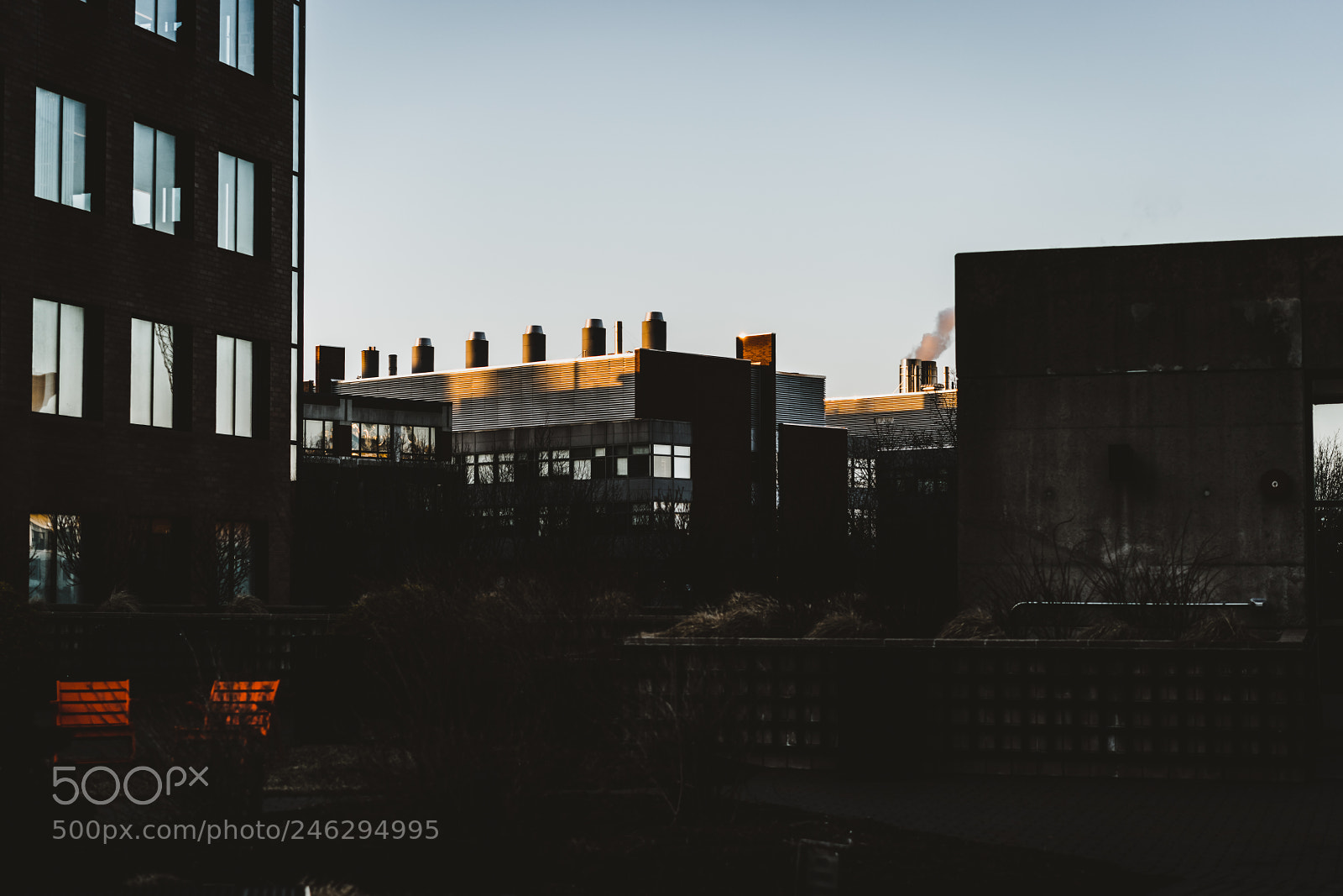 Sony a7R II sample photo. The sun touches it photography