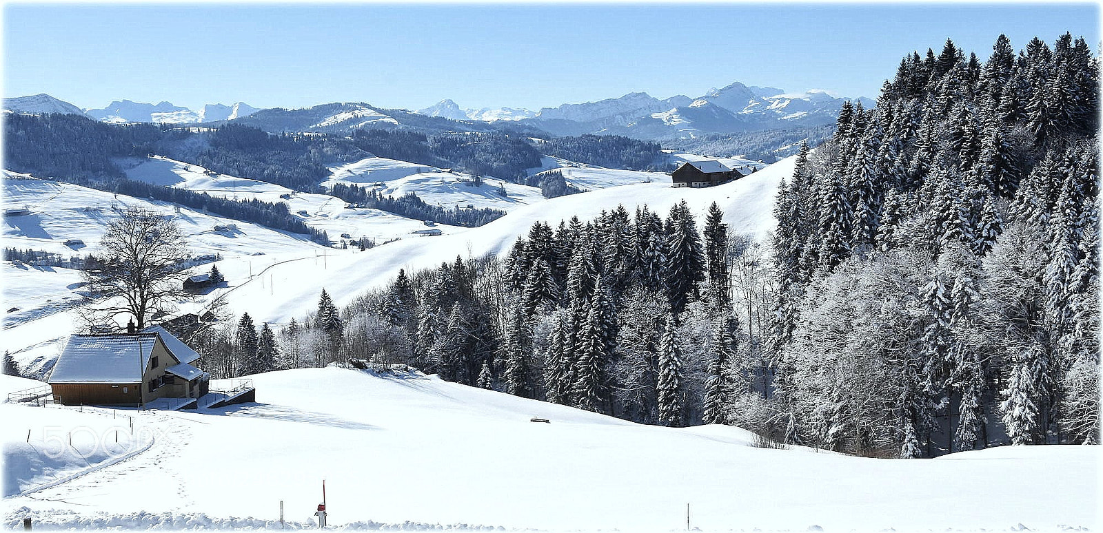 Nikon D7200 sample photo. "winterlandview" photography