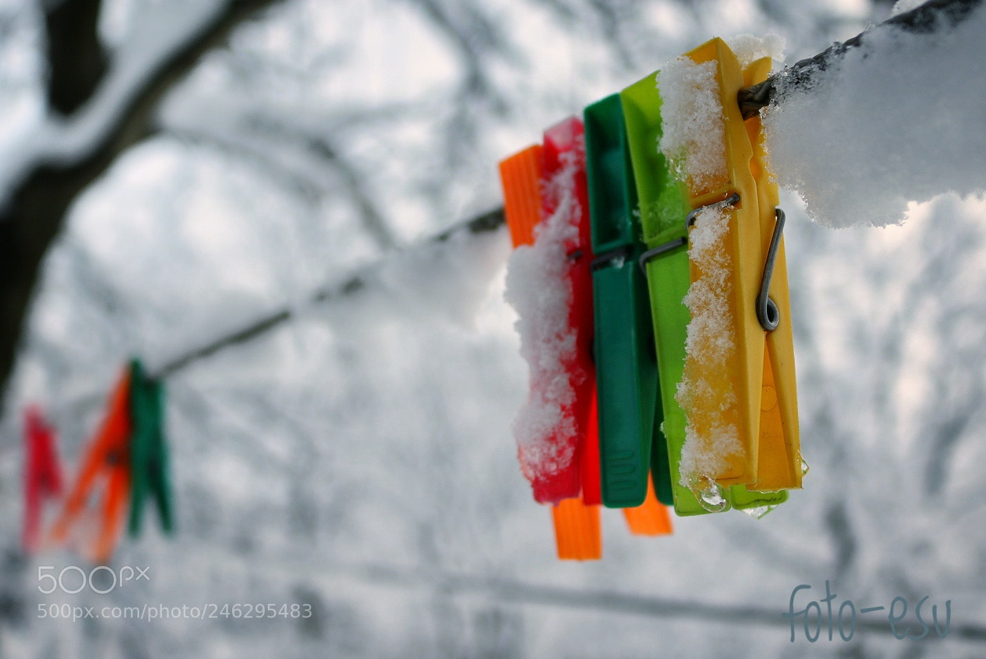 Canon EOS 750D (EOS Rebel T6i / EOS Kiss X8i) sample photo. Untitled photography