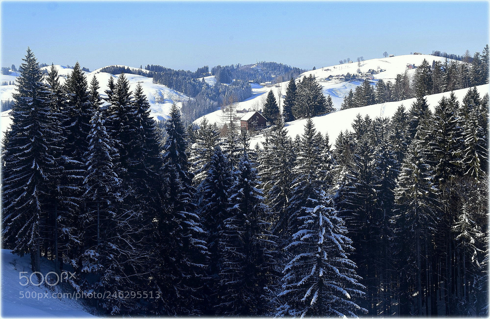 Nikon D810 sample photo. "landscape,det.;" photography