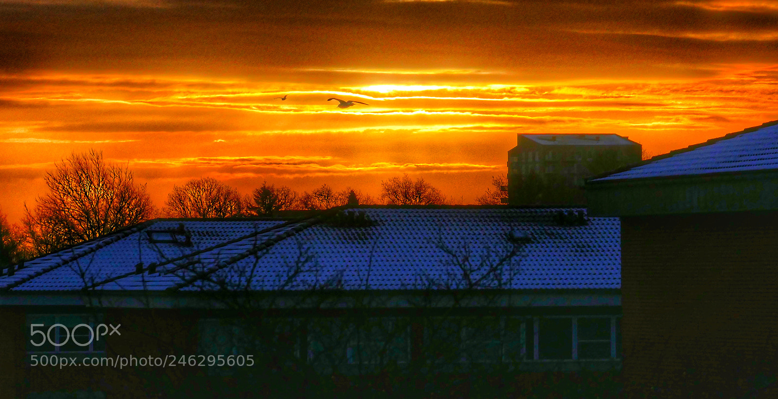 Panasonic Lumix DMC-FZ1000 sample photo. Beautiful sunrise photography
