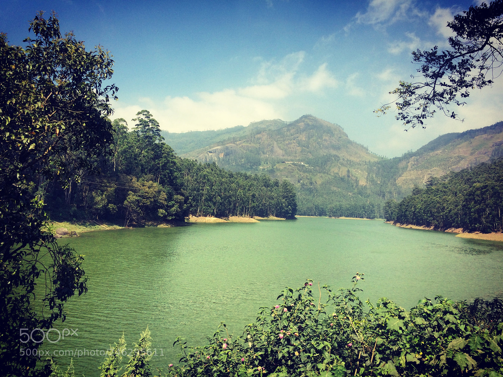 Apple iPhone 5s sample photo. Kerala dairy photography
