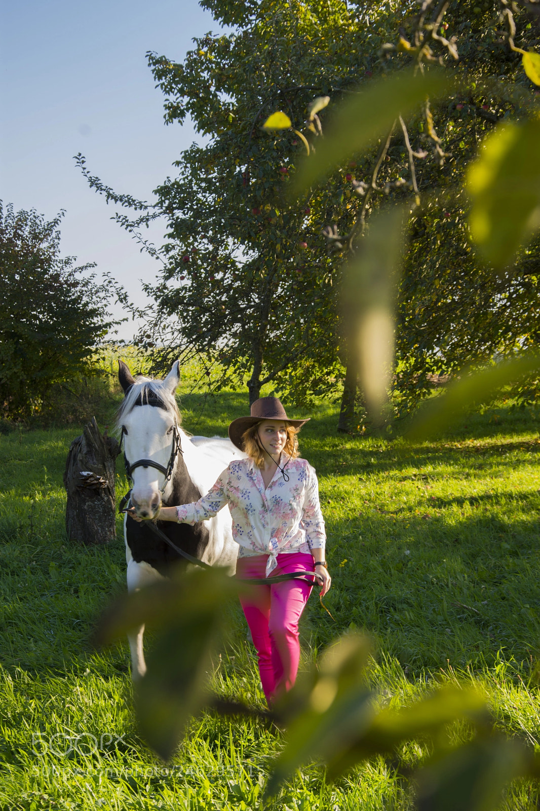 Nikon D7200 sample photo. The countryside photography