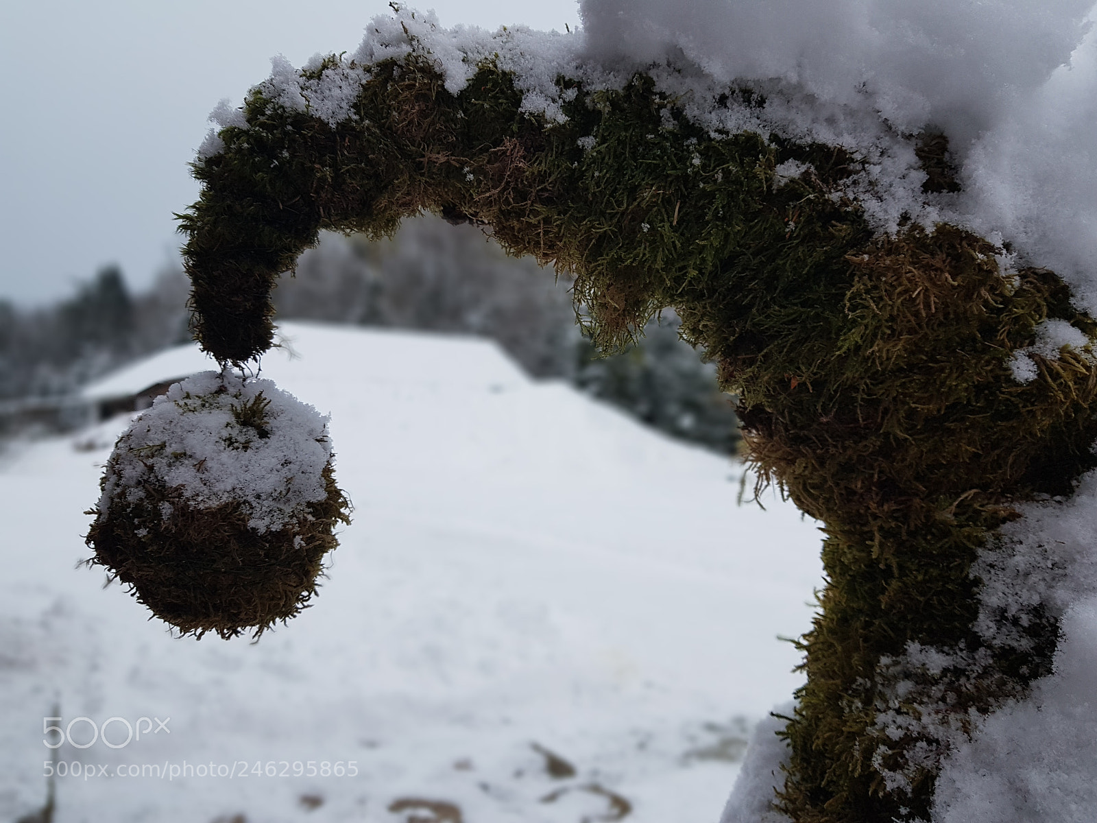 Samsung Galaxy S7 sample photo. Winter decoration photography