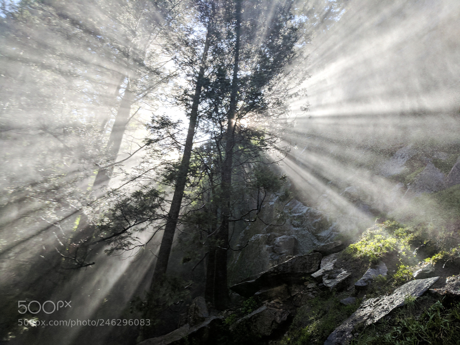 Google Pixel sample photo. Sunray reflecting on waterfall photography