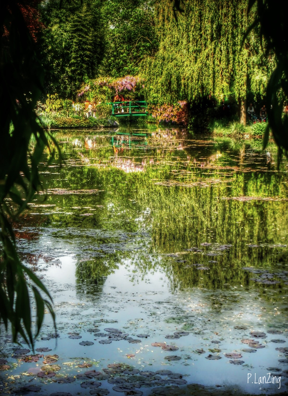 Sony DSC-T100 sample photo. Mr monet’s pond, giverny photography