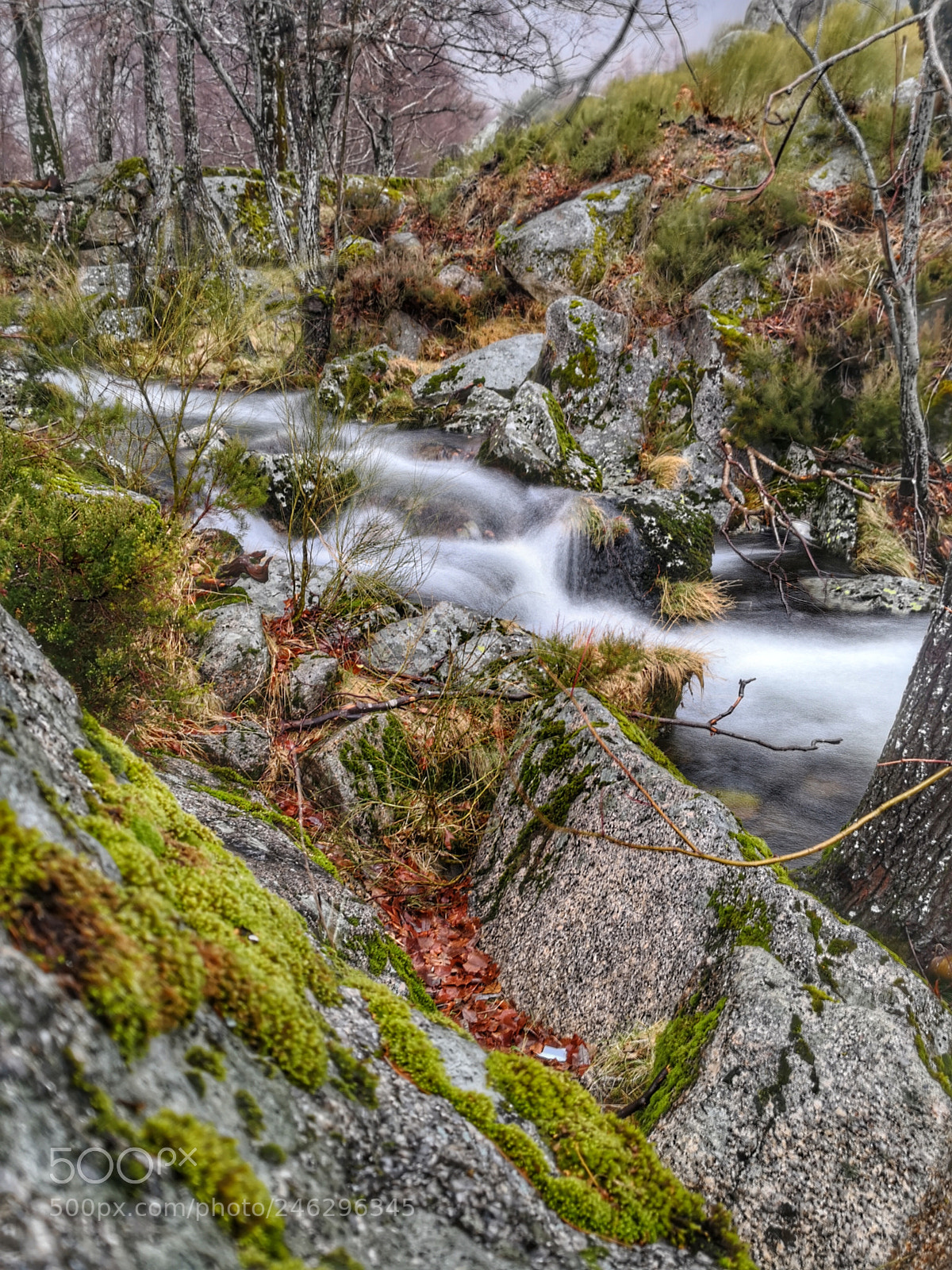 HUAWEI Mate 10 Pro sample photo. Serra da estrela photography