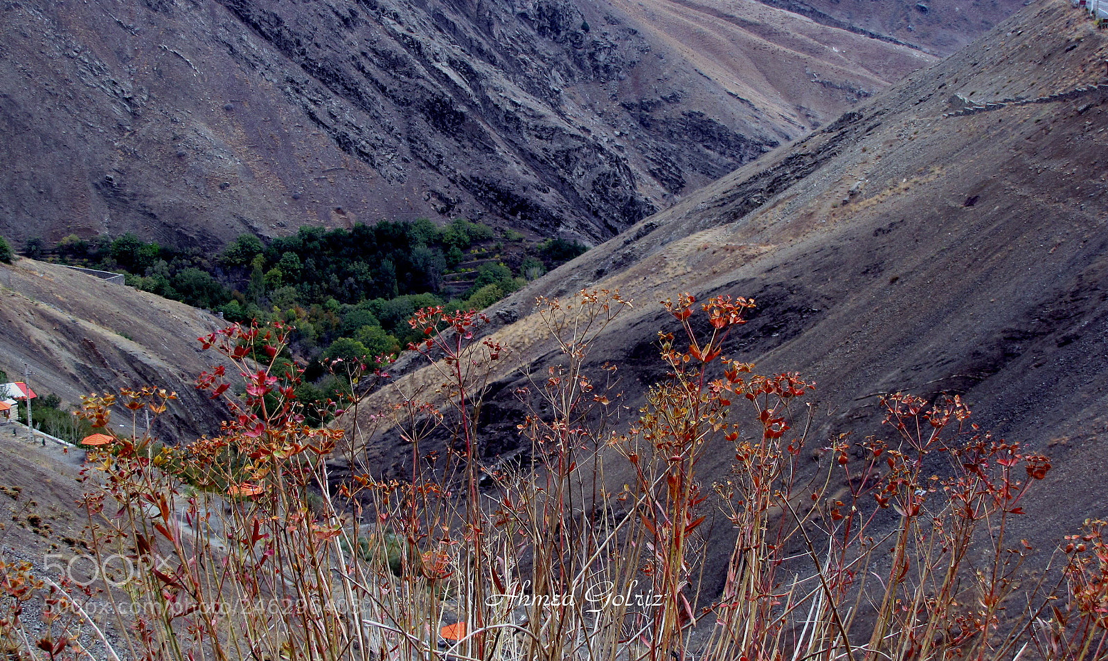 Canon PowerShot SX10 IS sample photo. Dareh 2 photography