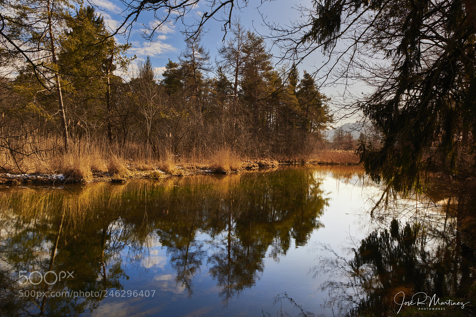 Nikon D850 sample photo. 20180214_0012.jpg photography
