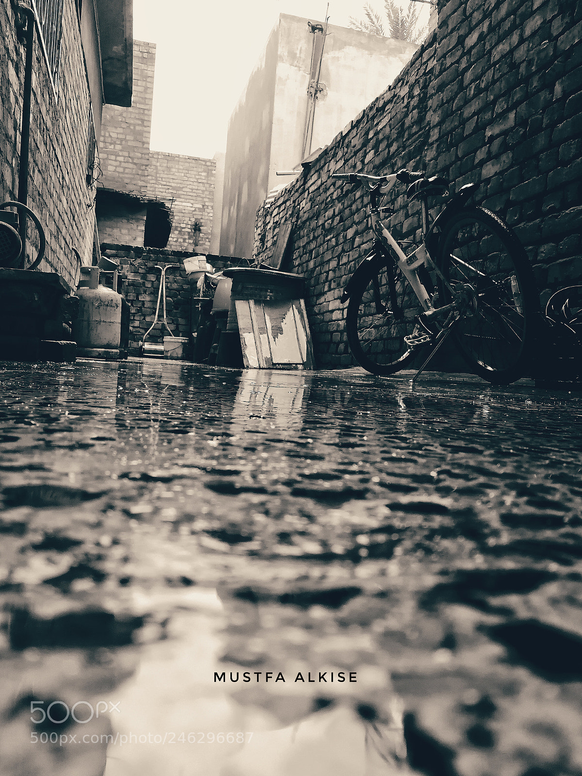 HUAWEI P10 sample photo. Untitled photography