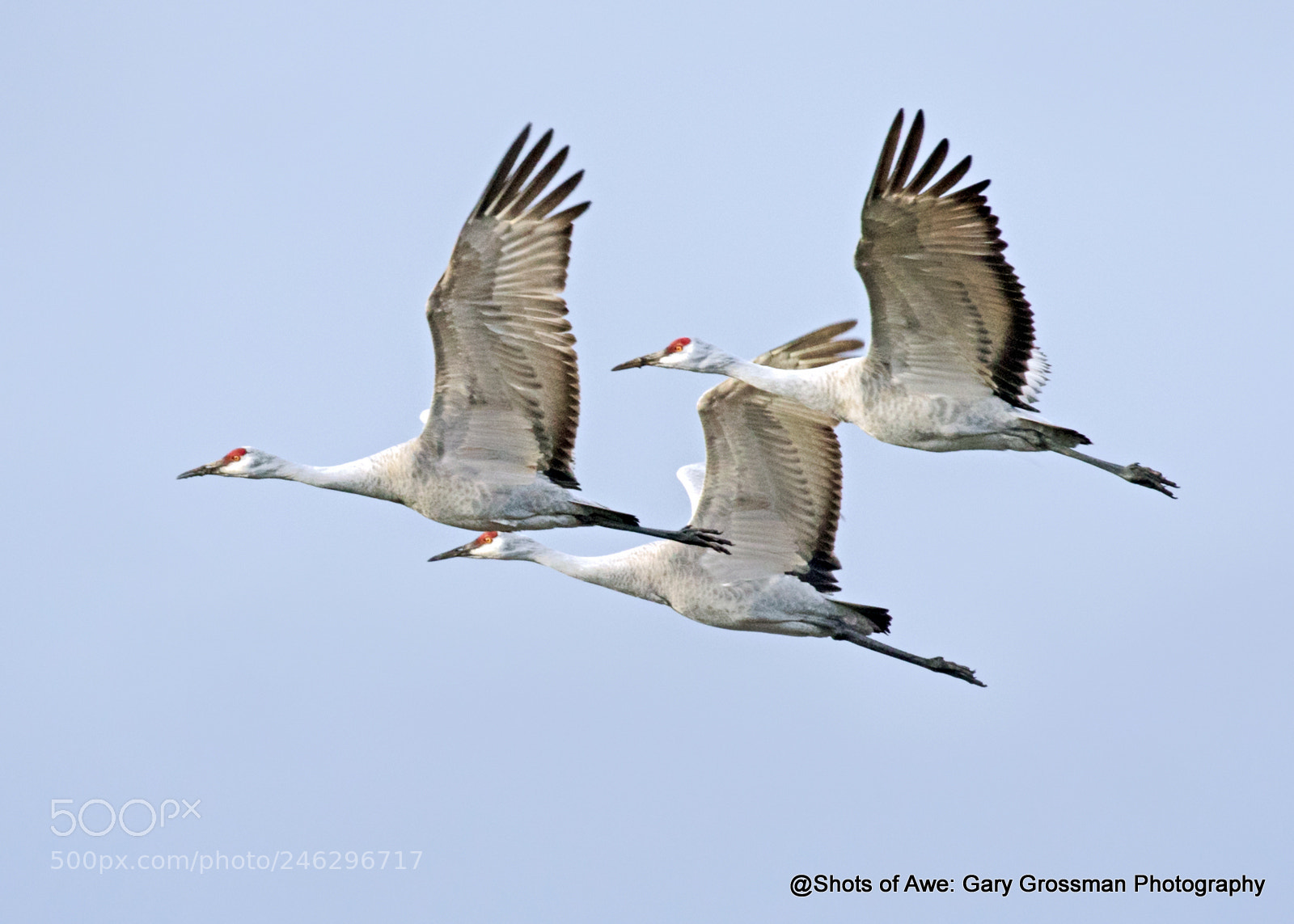Canon EOS 7D Mark II sample photo. Synchronized trio photography