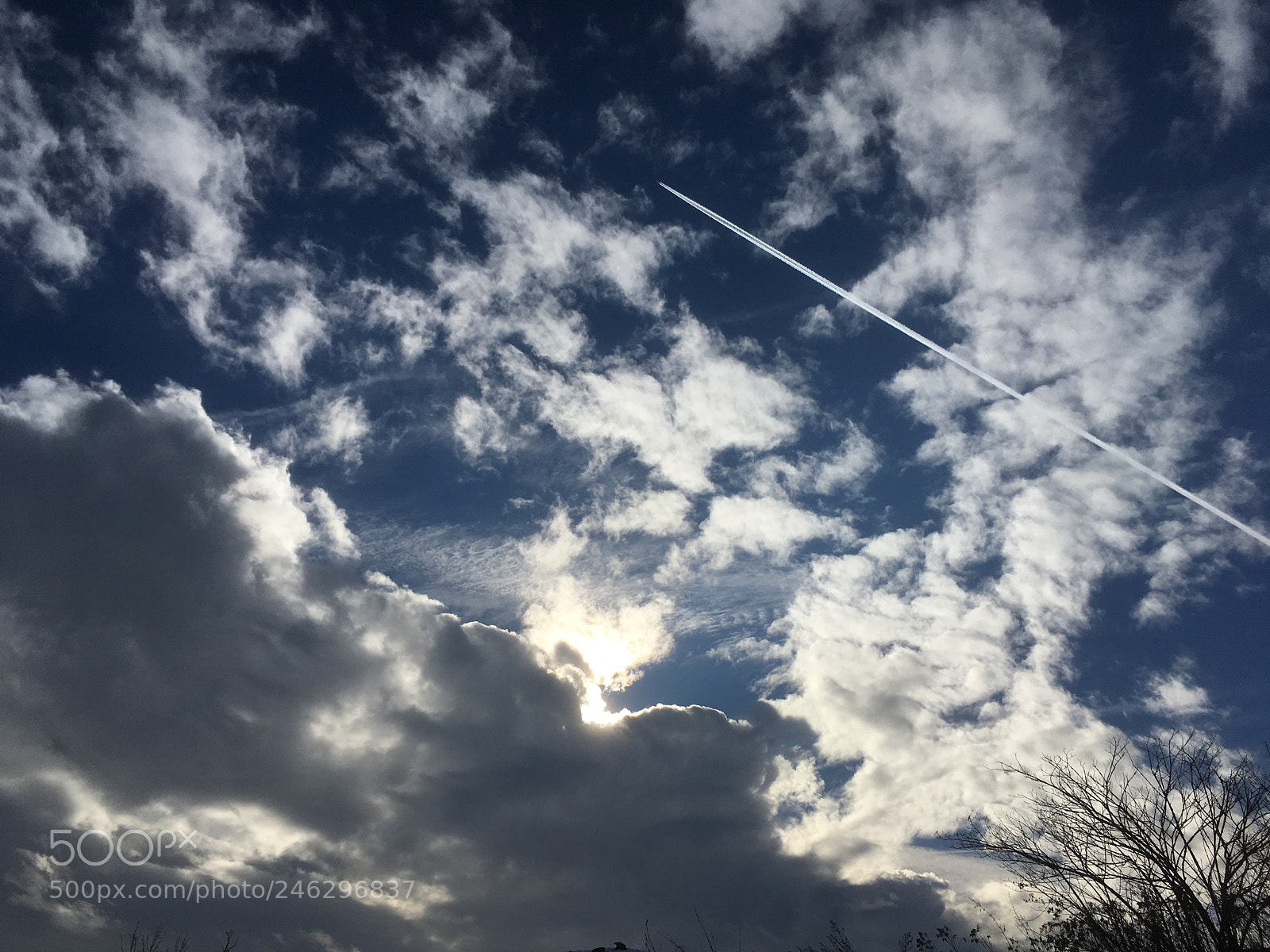 Apple iPhone SE sample photo. Untitled photography