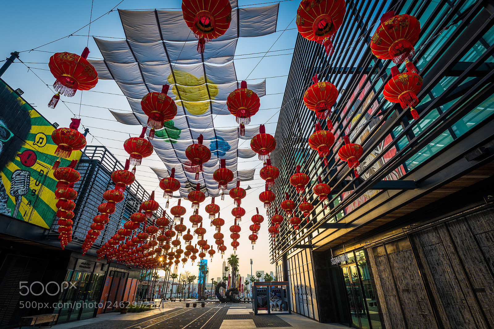 Nikon D810 sample photo. Happy lunar new year photography