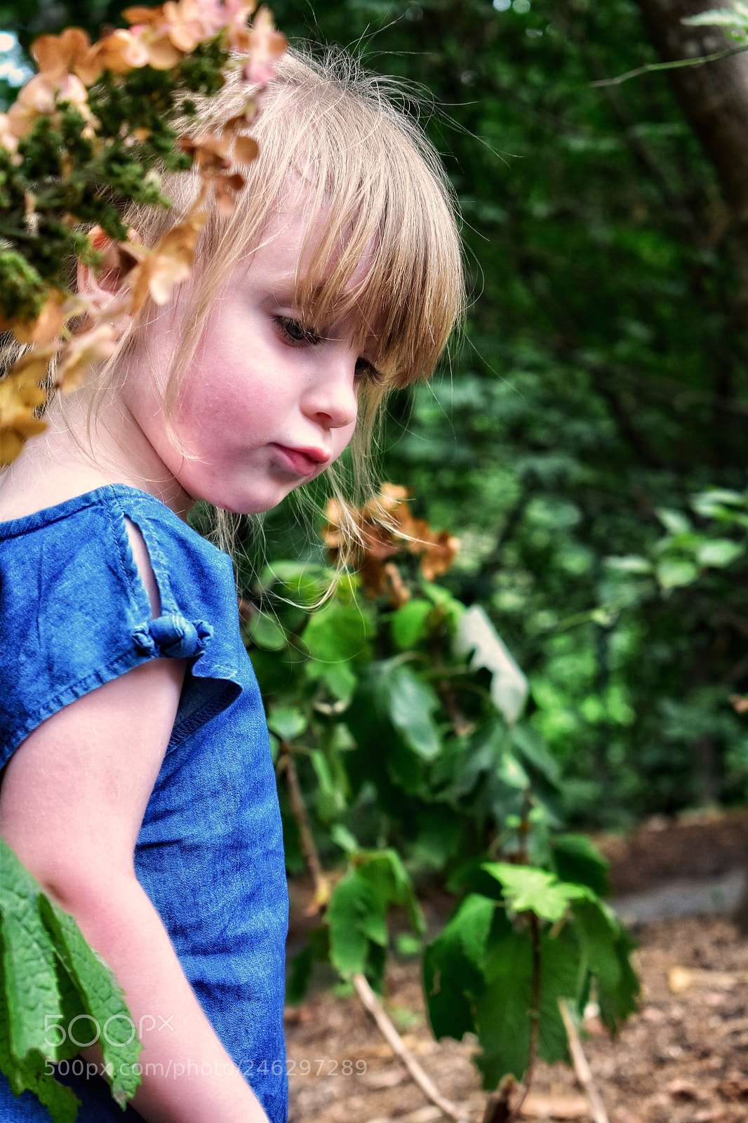 Nikon D5600 sample photo. In her own world photography