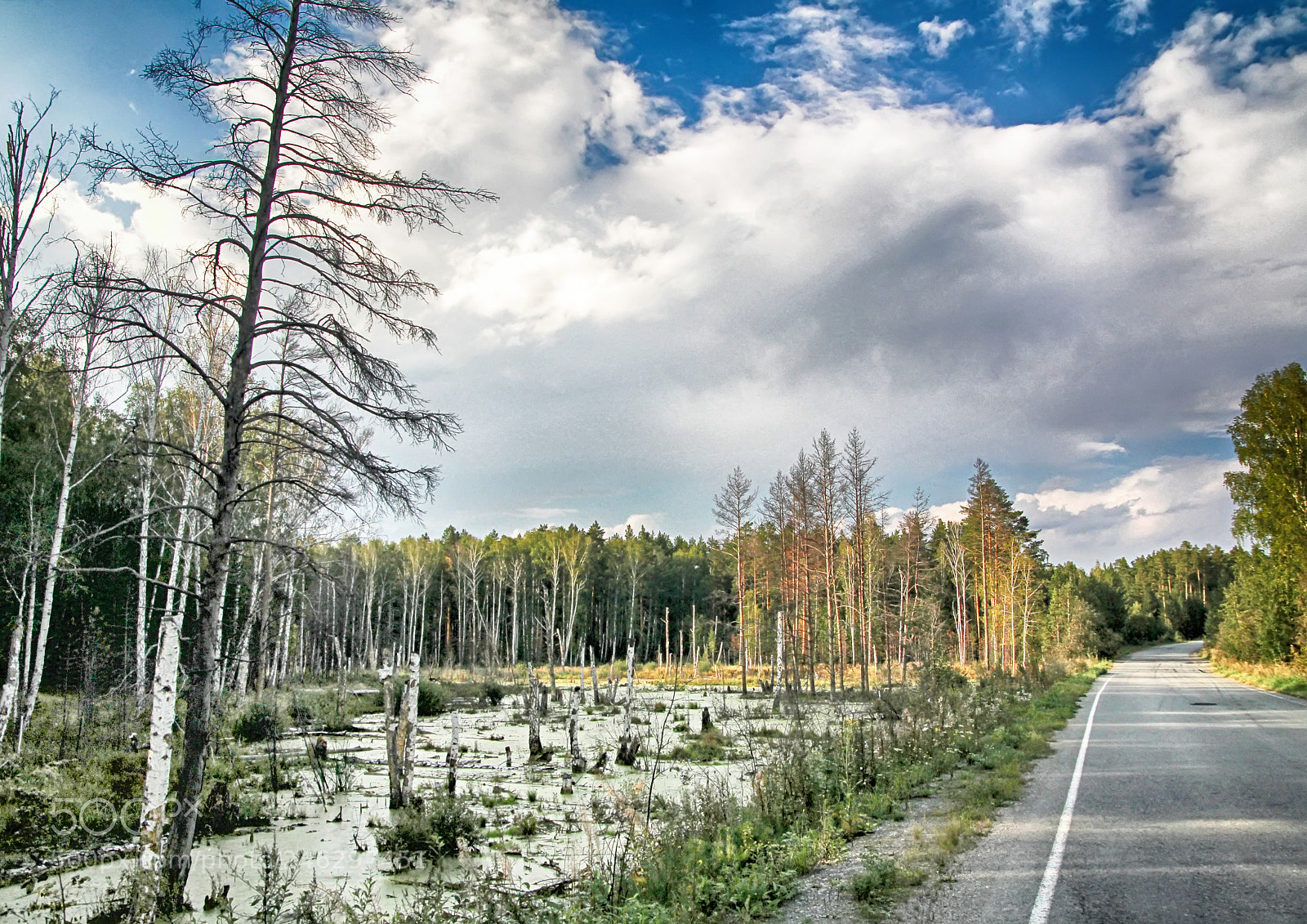 Canon EOS 60D sample photo. The road along the photography