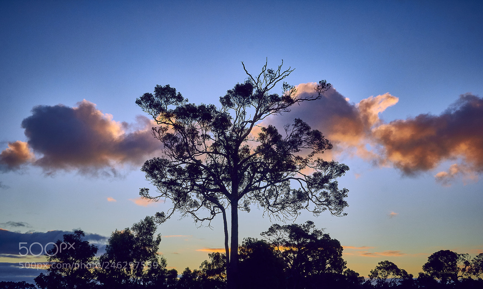 Canon EOS 60D sample photo. Beautiful light at dusk photography