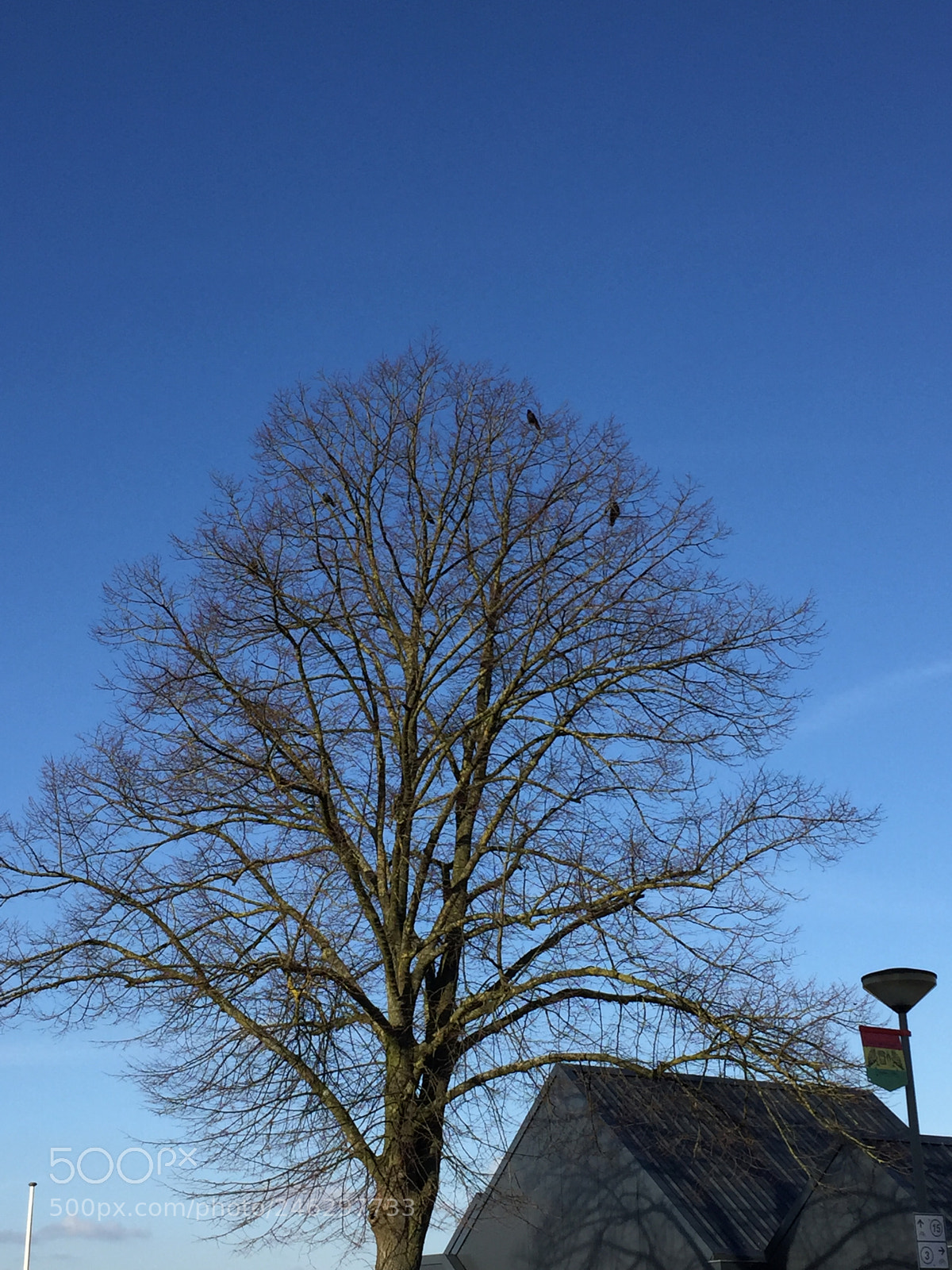 Apple iPhone 6 sample photo. A beautiful day photography