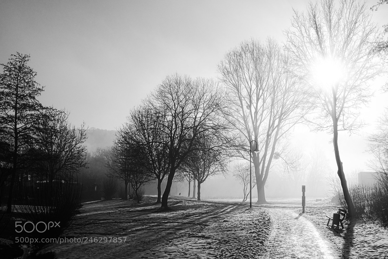Fujifilm X-E1 sample photo. Foggy sunny morning photography