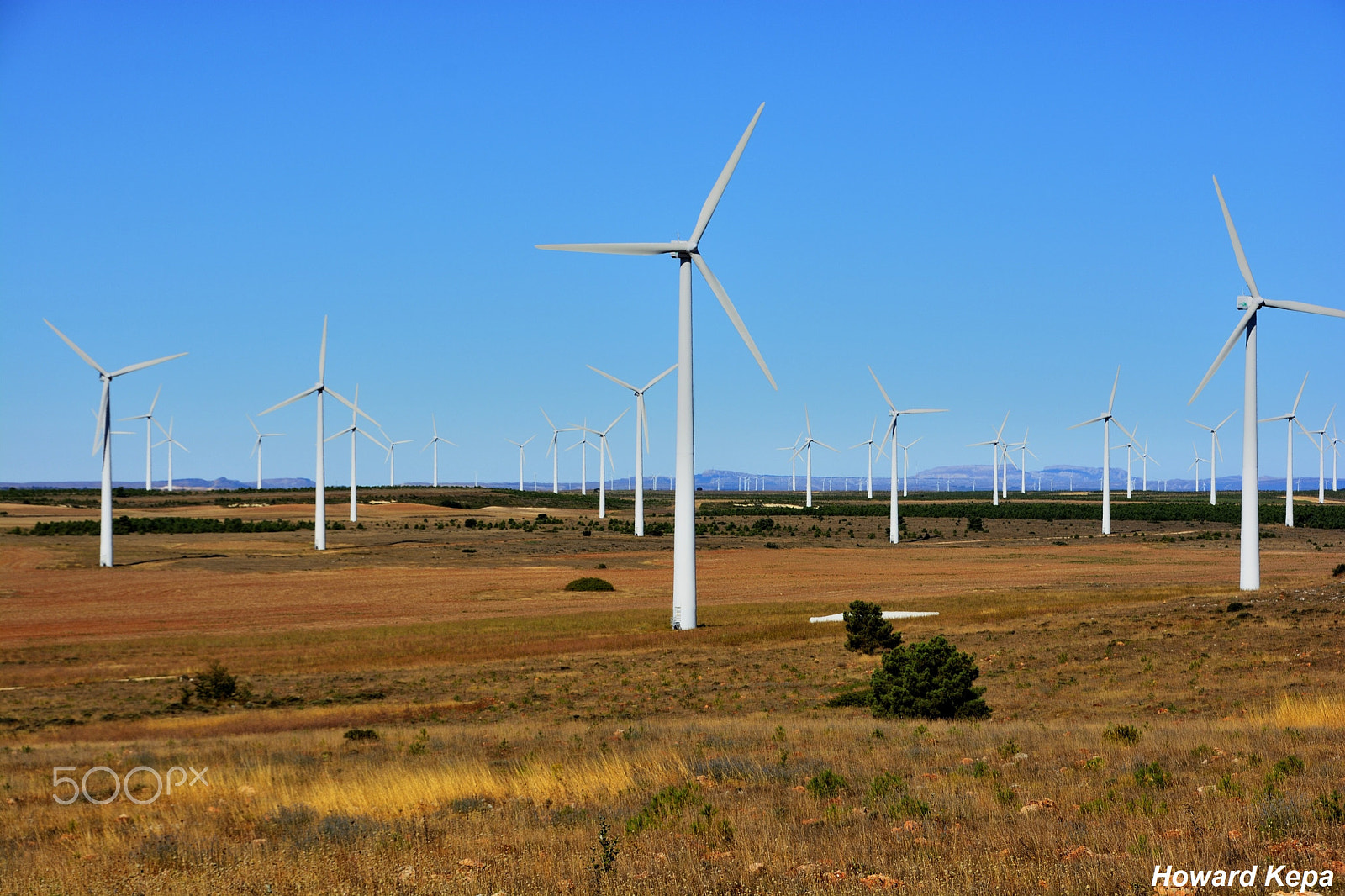 Nikon D7100 sample photo. Molinos de viento. photography