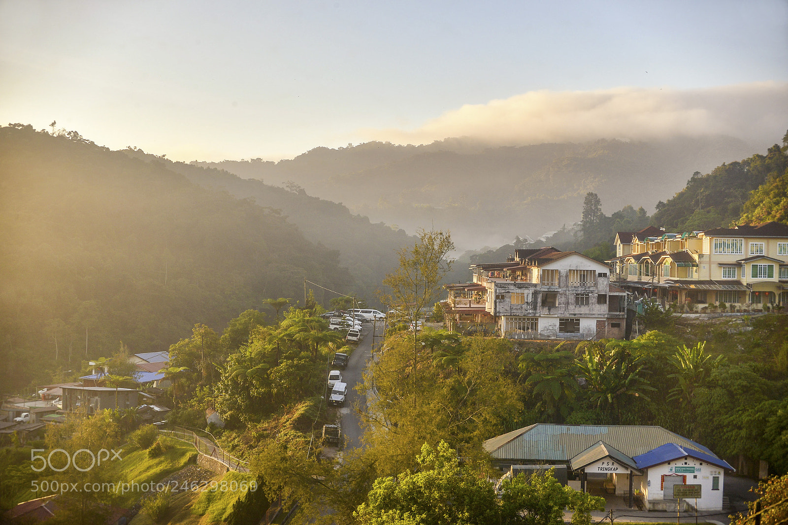 Nikon D610 sample photo. Cameron highlands in morning photography