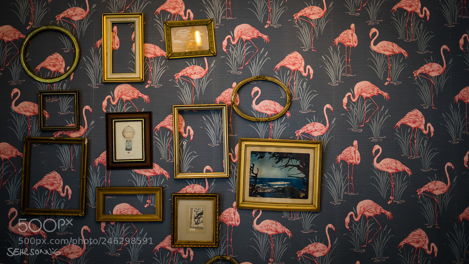 Sony a7 II sample photo. Wallpaper photography