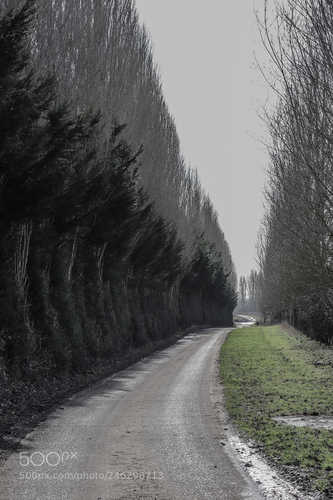 Canon EOS 200D (EOS Rebel SL2 / EOS Kiss X9) sample photo. Country lane photography
