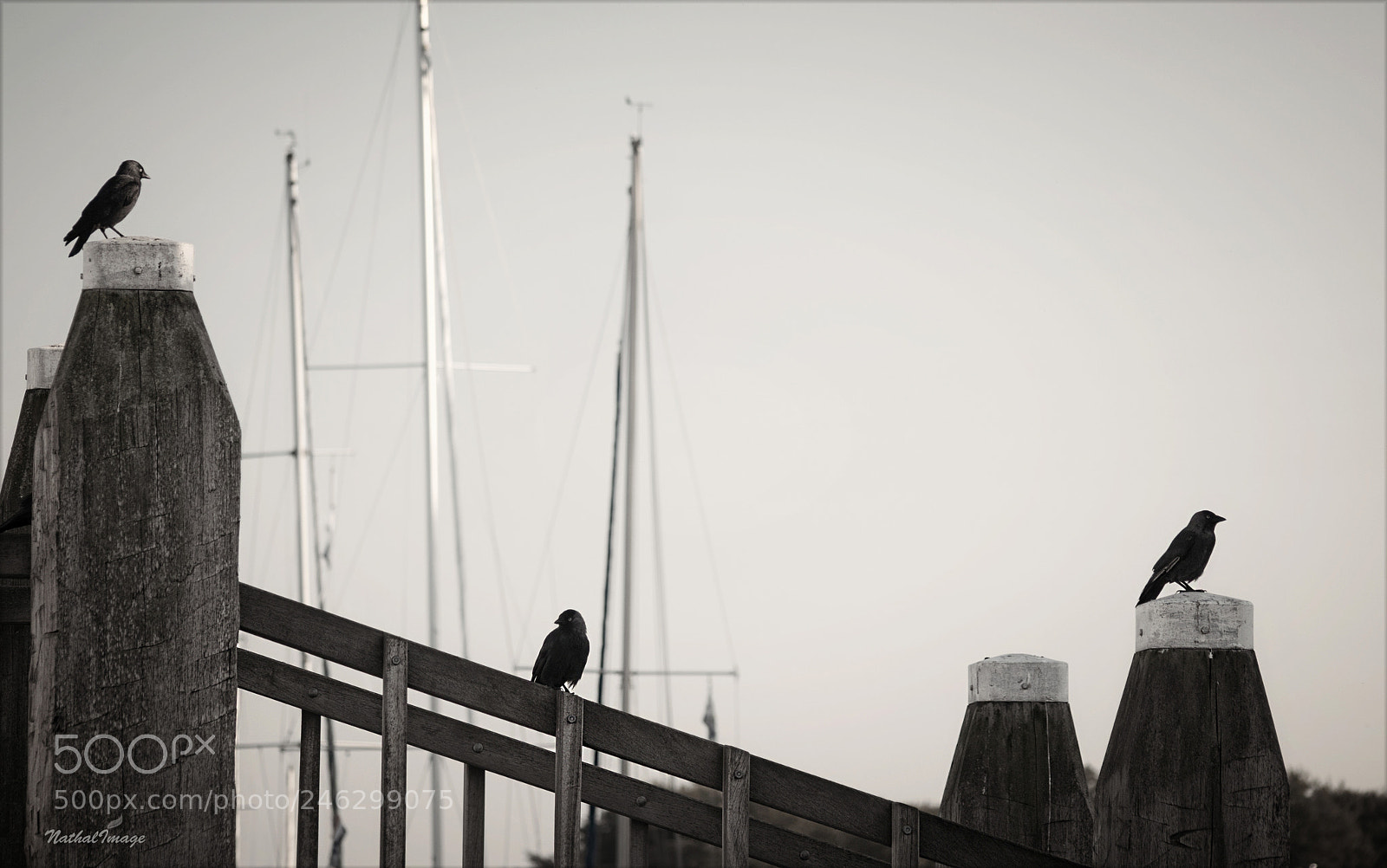 Nikon D80 sample photo. ... three is no crowd ... photography
