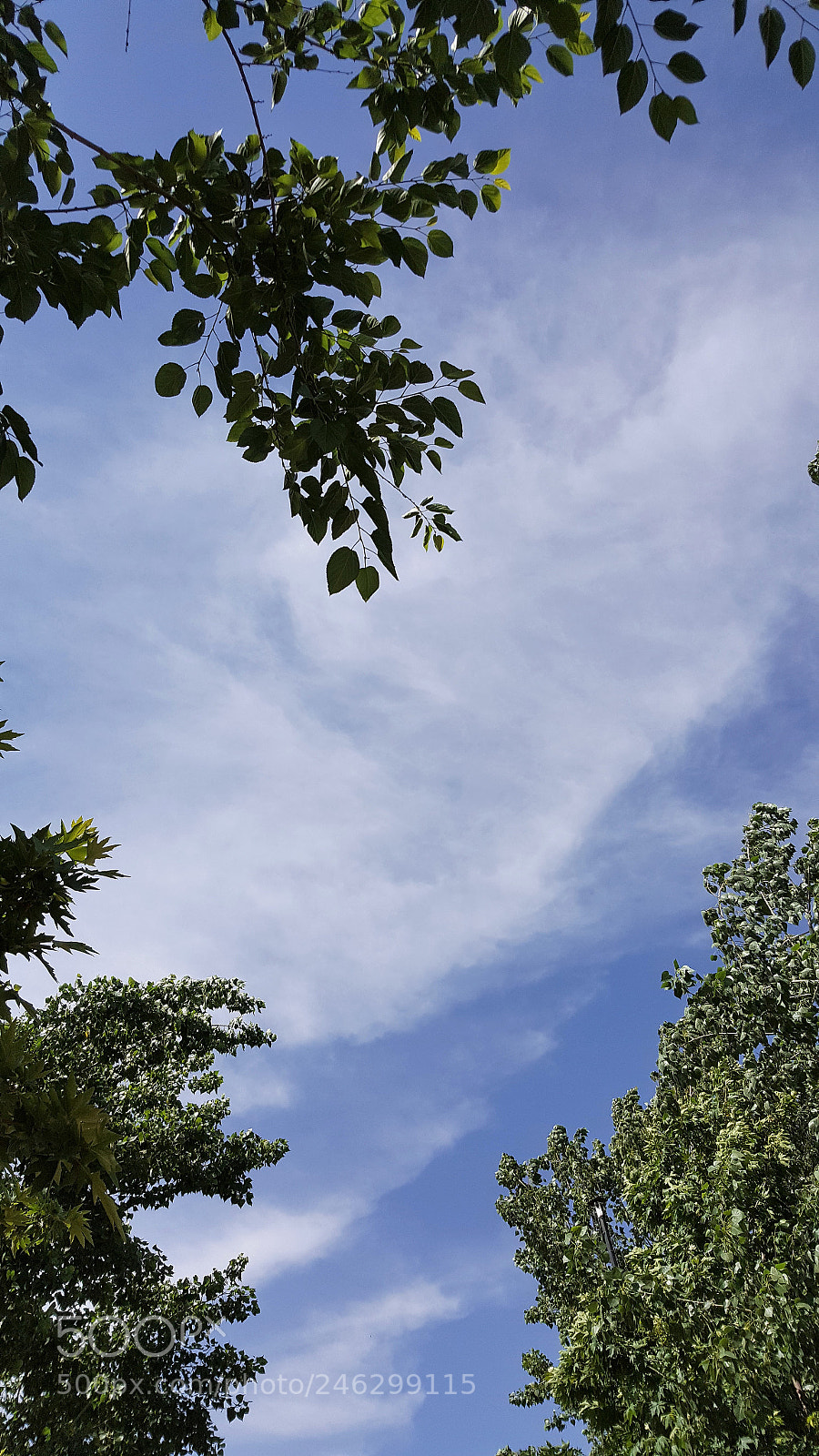 Samsung Galaxy Note5 sample photo. The clean sky 1 photography