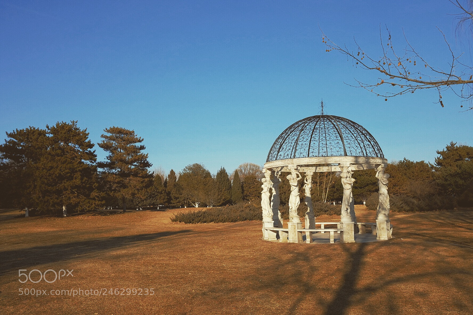Fujifilm X-T2 sample photo. Winter garden photography