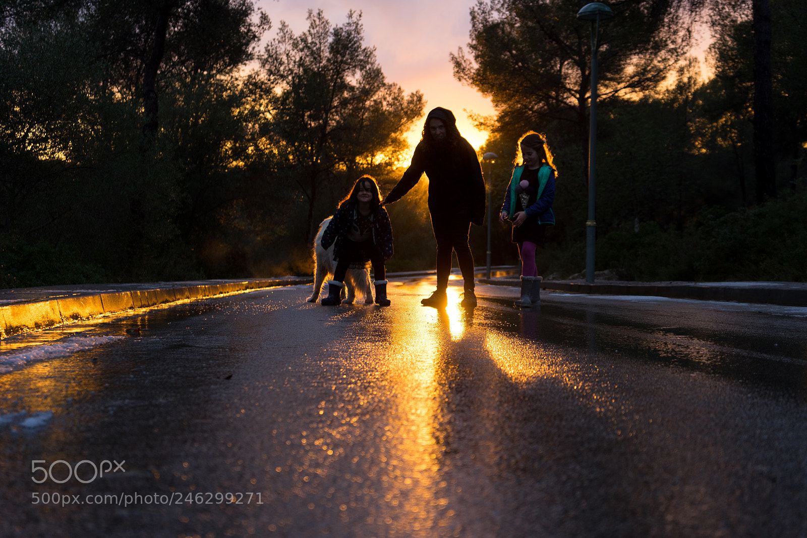 Sony a7 II sample photo. 2018 02 granizado en el pinatell photography
