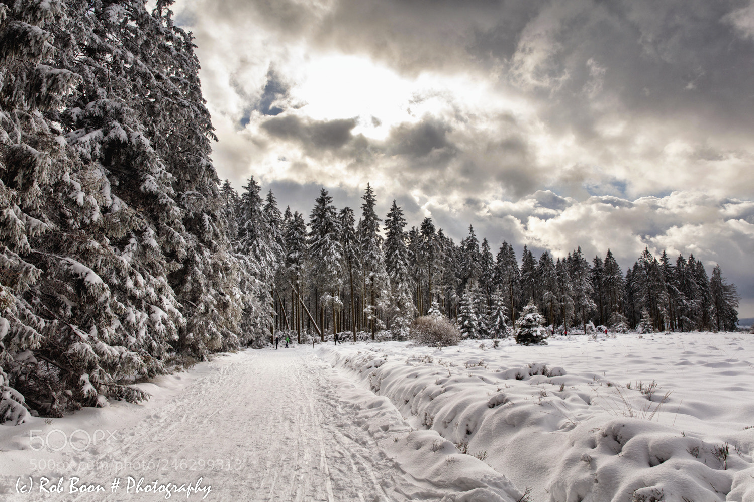 Canon EOS 5DS sample photo. Winter @ botrange 8 photography