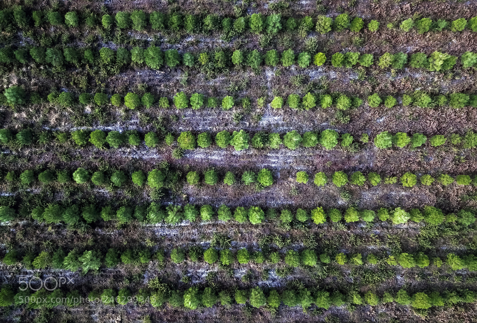 DJI FC220 sample photo. Find your place to photography