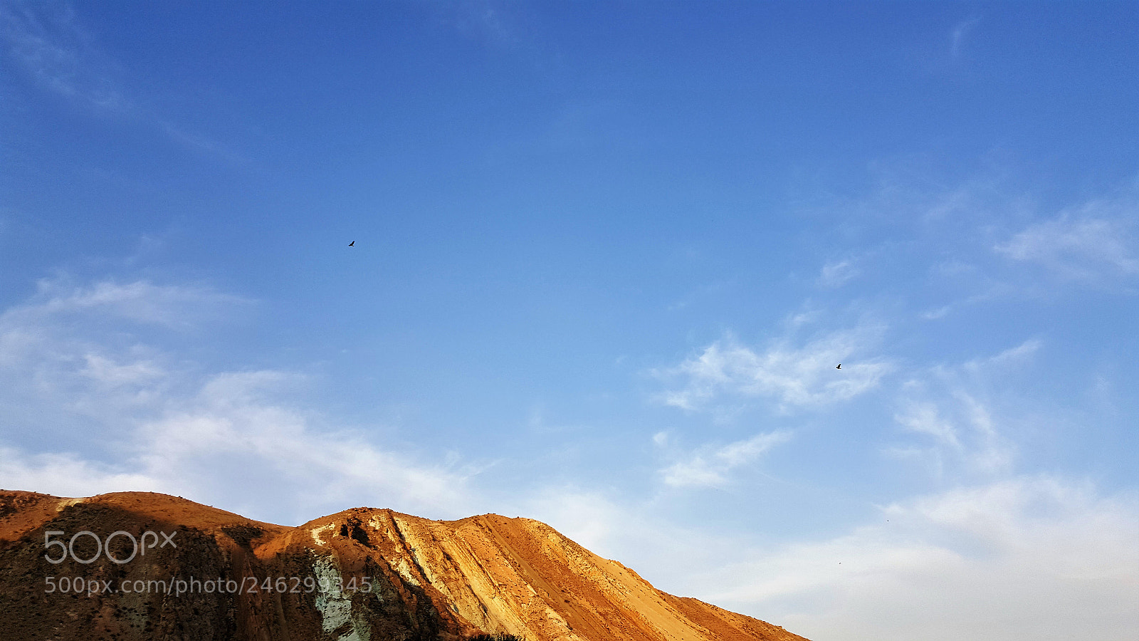 Samsung Galaxy Note5 sample photo. The golden hill photography