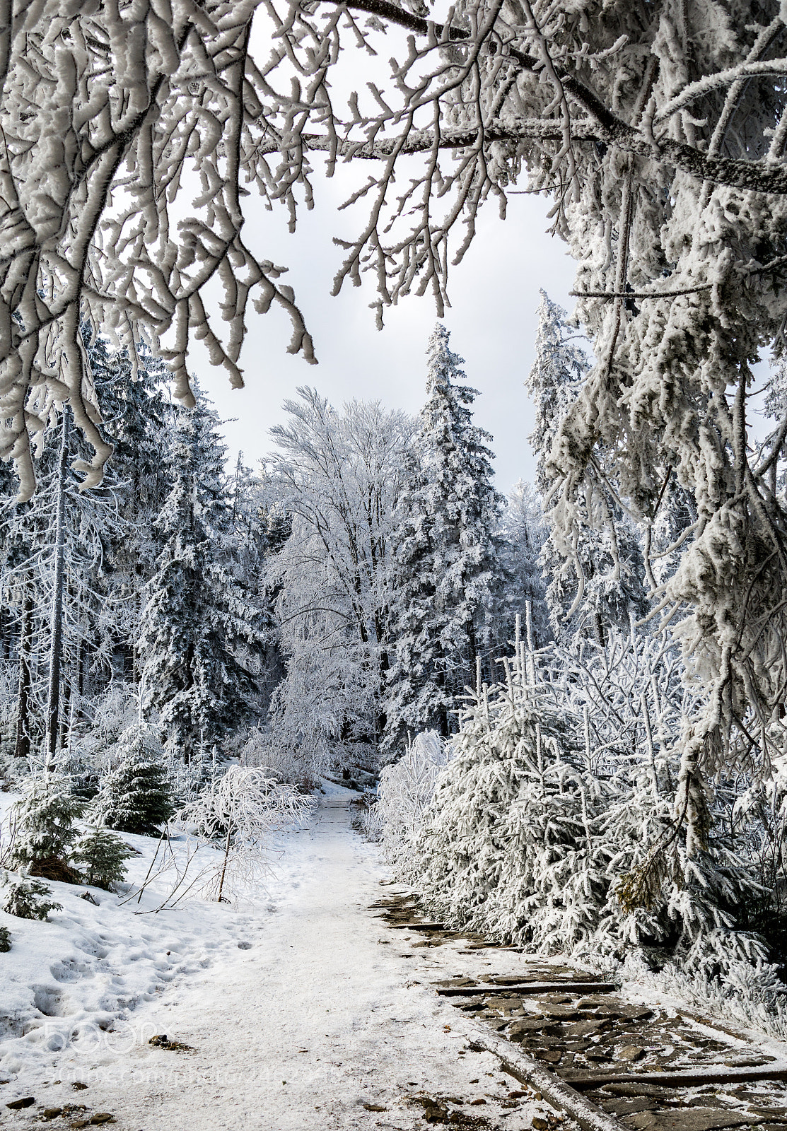 Nikon D7100 sample photo. Gate to winter photography