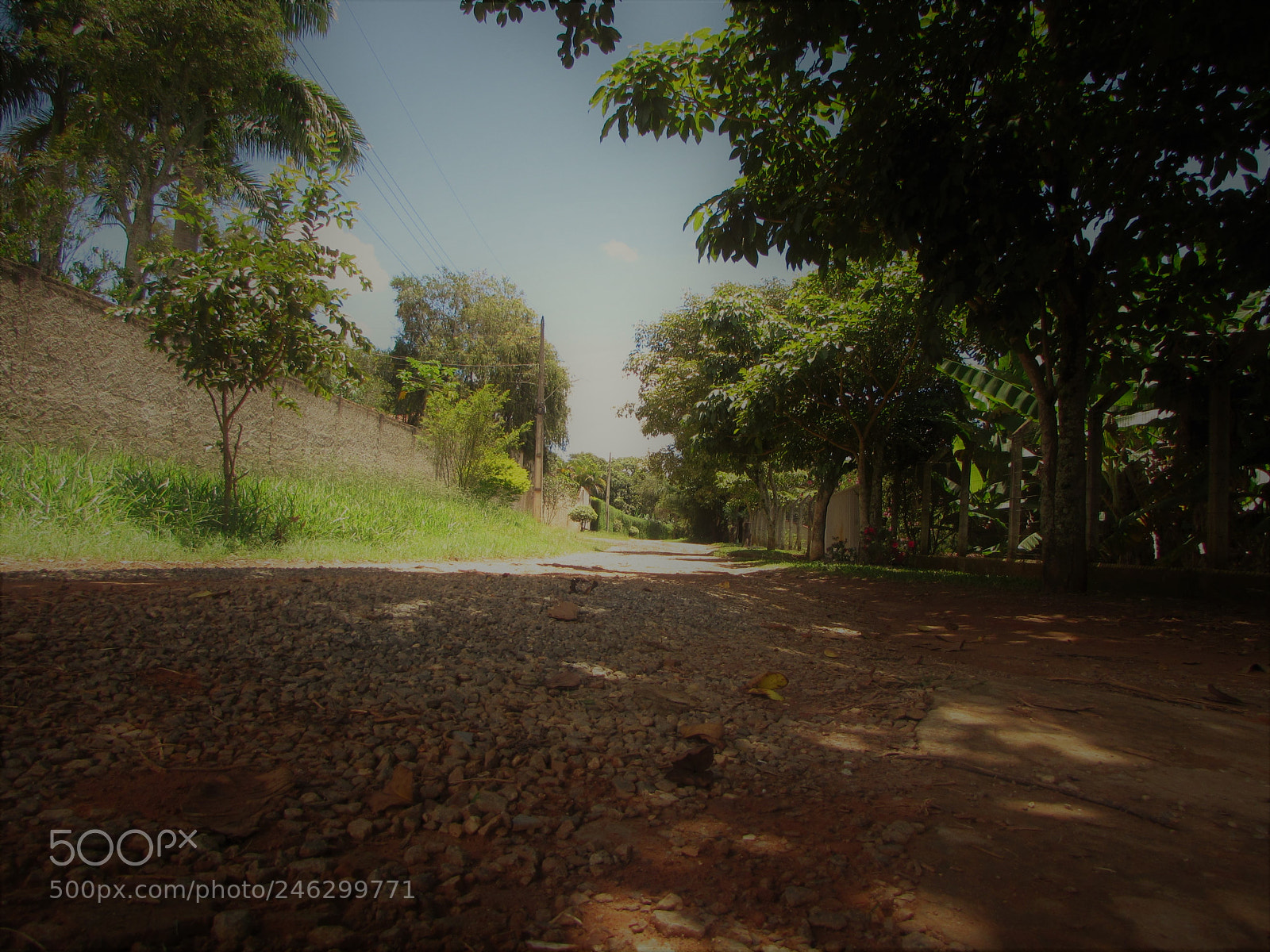 Canon PowerShot SX510 HS sample photo. Rua sozinha photography