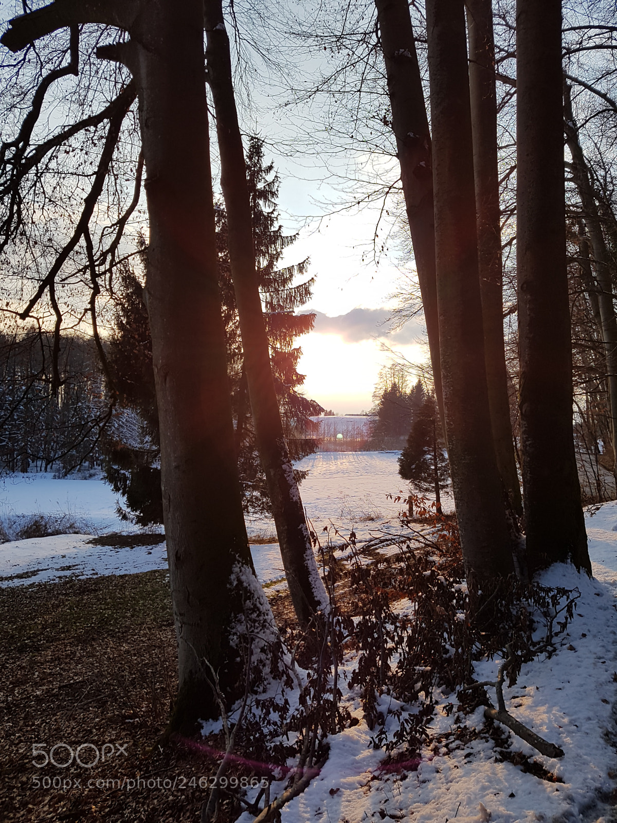 Samsung Galaxy S7 sample photo. Untitled photography